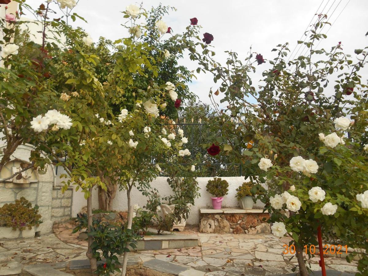 Melios Rooms Petalídhion 外观 照片